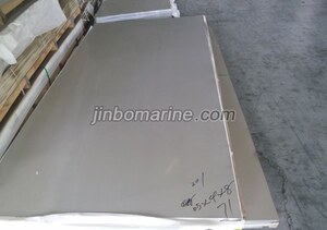 Stainless Steel Plate