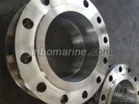 Stainless Steel WN Flange 2