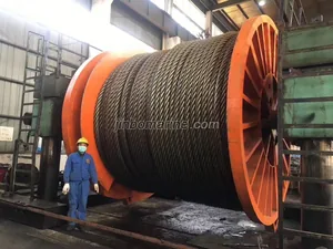 Galvanized Steel Wire Rope 6x37+IWRC(6x37+FC) thumbnail 1