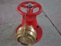 Storz Type Fire Hydrant