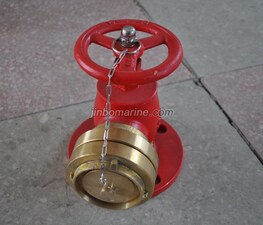 Storz Type Fire Hydrant