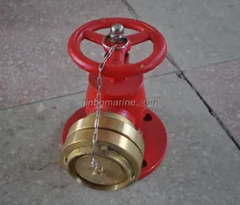 Storz Type Fire Hydrant thumbnail 1