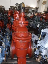 Nodular Iron Gate Valve for Oil Tanker CB/T3591-94 thumbnail 1