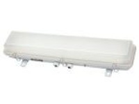 TCYA10-2AML LED Pendant Light