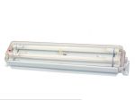 TCYA20-2 Fluorescent Ceiling Light