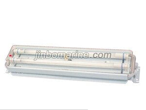 TCYA20-2 Fluorescent Ceiling Light