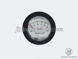 TE5000 Mini Differential Pressure Gauge