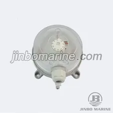 TEB930 Differential Pressure Switch thumbnail 1