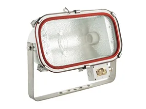 Flood Light TG4 thumbnail 1