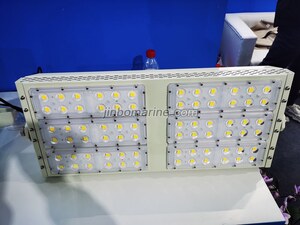 TG51-L250 LED Flood Light