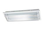 TPY20-2 Fluorescent Ceiling Light