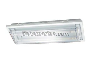 TPY20-2 Fluorescent Ceiling Light thumbnail 1