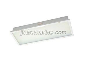 TPYA10-2GL LED Ceiling Light