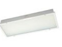 TPYA10-2ML LED Ceiling Light