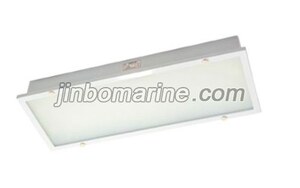 TPYA10-2ML LED Ceiling Light