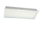 TPYA20-2 Fluorescent Ceiling Light