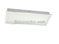 TPYA20-2 Fluorescent Ceiling Light