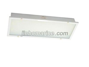 TPYA20-2 Fluorescent Ceiling Light