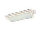 TPYD10-2GL LED Ceiling Light