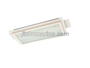 TPYD10-2GL LED Ceiling Light