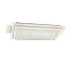 TPYD20-2 Fluorescent Ceiling Light