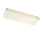 TPYE10-2GL LED Ceiling Light