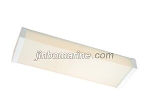 TPYE10-2GL LED Ceiling Light