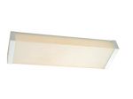 TPYE20-2 Fluorescent Ceiling Light