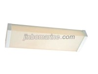 TPYE20-2 Fluorescent Ceiling Light