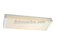 TPYE20-2 Fluorescent Ceiling Light 1
