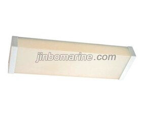 TPYE20-2 Fluorescent Ceiling Light