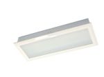 TPYF10-2GL LED Ceiling Light