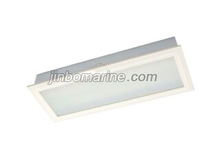 TPYF10-2GL LED Ceiling Light