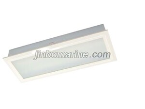 TPYF10-2ML LED Ceiling Light