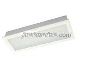 TPYF10-2ML LED Ceiling Light thumbnail 1