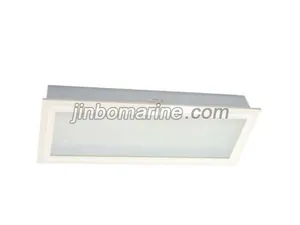 TPYF20-2 Fluorescent Ceiling Light thumbnail 1