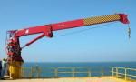 Telescopic Crane