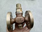 Thermostatic Steam Trap