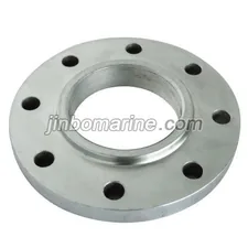 Threaded Pipe Flanges thumbnail 1