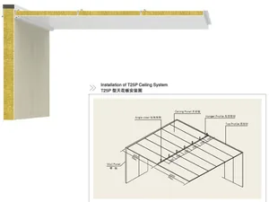 Type P Ceiling Panel thumbnail 2