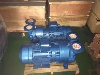 CDF Series Water Ring Vaccum Pump 1