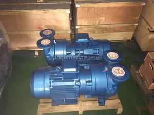 CDF Series Water Ring Vaccum Pump thumbnail 1