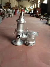 Stainless Steel Pressure/Vacuum valve thumbnail 1