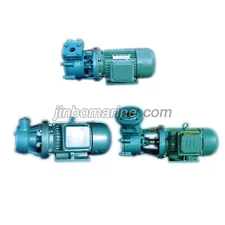 Model W Single Stage Vortex Pump thumbnail 1