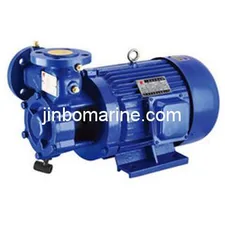 W Series Vortex Fresh Water Pump thumbnail 1