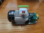 WCB-30 Portable Gear Pump