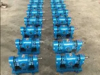 WCB20 External Lubricating Gear Pump 3