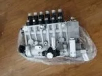 WEICHAI BHT6P9 Fuel Injection Pump Assembly 1