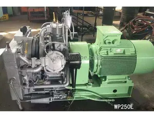 WP250L Large Capacity Medium Pressure Air Cooled Marine Air Compressor thumbnail 1