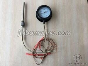 WTQ Gas Type Pressure Type Thermometer